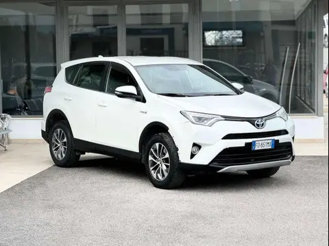 Used TOYOTA RAV4 Hybrid 2016 Ad 