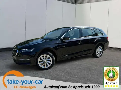 Used SKODA OCTAVIA Diesel 2024 Ad 