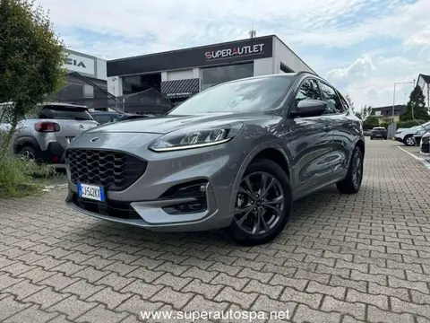 Annonce FORD KUGA Hybride 2022 d'occasion 