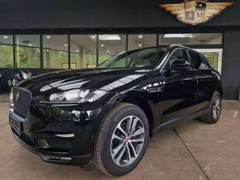 Used JAGUAR F-PACE Diesel 2016 Ad 