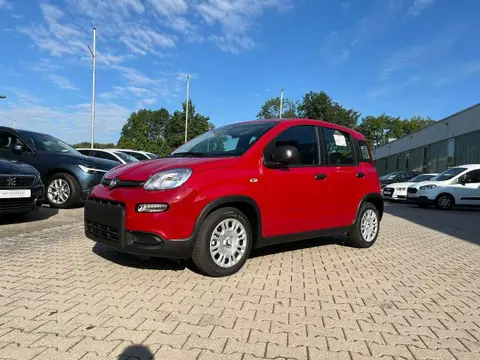 Used FIAT PANDA Petrol 2024 Ad 