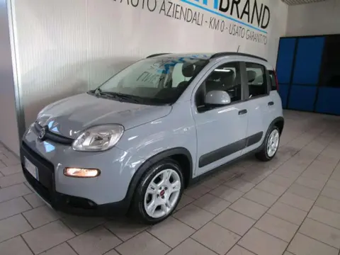 Used FIAT PANDA Hybrid 2023 Ad 