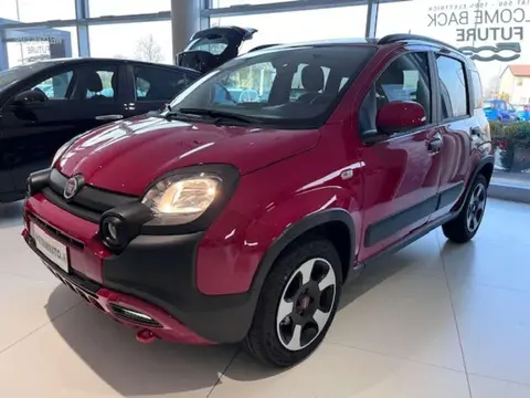 Used FIAT PANDA Hybrid 2024 Ad 