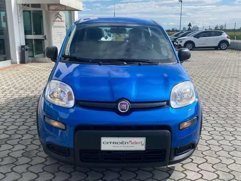 Used FIAT PANDA Hybrid 2024 Ad 