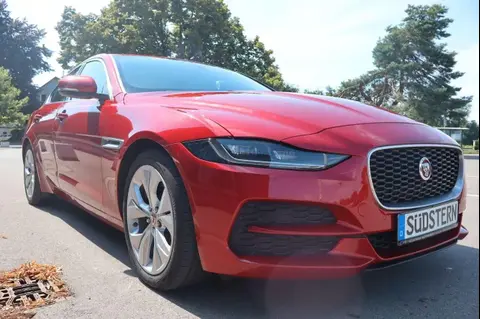 Used JAGUAR XE Diesel 2019 Ad 