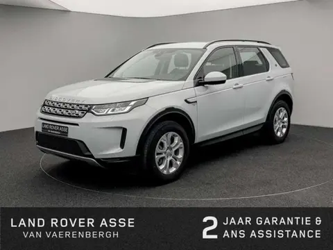 Annonce LAND ROVER DISCOVERY Hybride 2020 d'occasion 