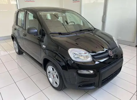 Used FIAT PANDA Hybrid 2024 Ad 