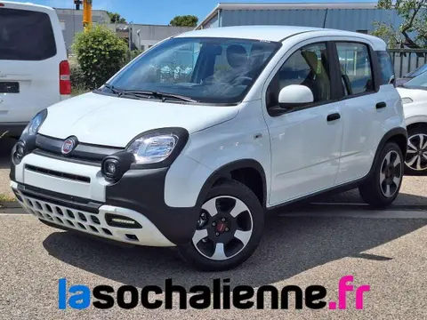 Used FIAT PANDA Petrol 2023 Ad 