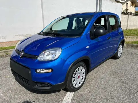 Annonce FIAT PANDA Hybride 2024 d'occasion 