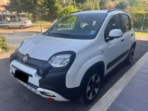 Used FIAT PANDA Hybrid 2023 Ad 