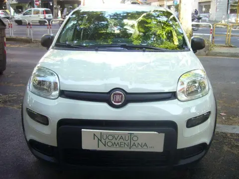 Annonce FIAT PANDA GPL 2024 d'occasion 