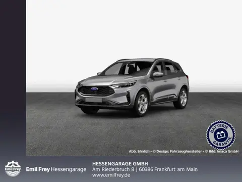 Used FORD KUGA Hybrid 2024 Ad 