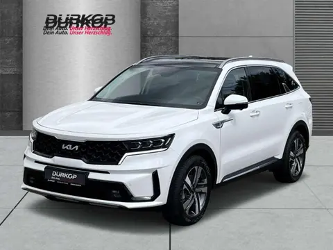 Annonce KIA SORENTO Hybride 2024 d'occasion 