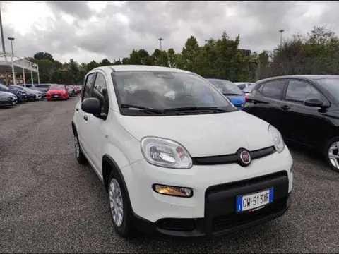 Annonce FIAT PANDA  2024 d'occasion 