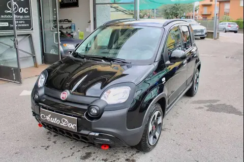 Annonce FIAT PANDA Hybride 2023 d'occasion 