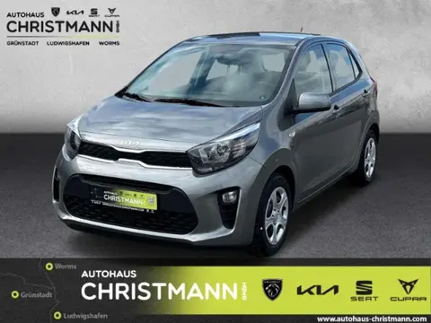 Used KIA PICANTO Petrol 2024 Ad 