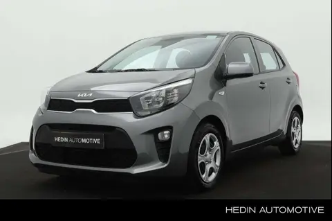 Used KIA PICANTO Petrol 2024 Ad 