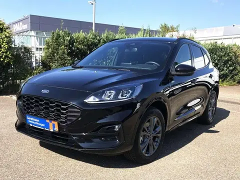 Used FORD KUGA Hybrid 2021 Ad 