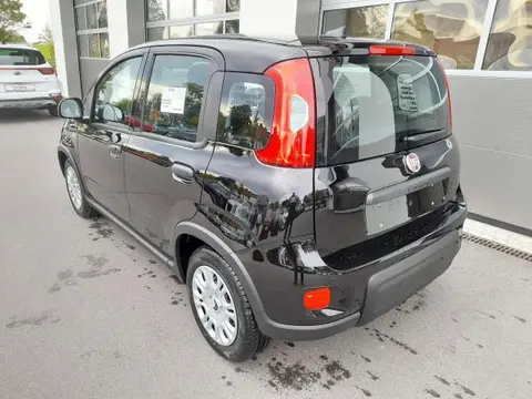 Used FIAT PANDA Petrol 2024 Ad 