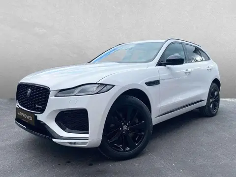 Annonce JAGUAR F-PACE Diesel 2024 d'occasion 