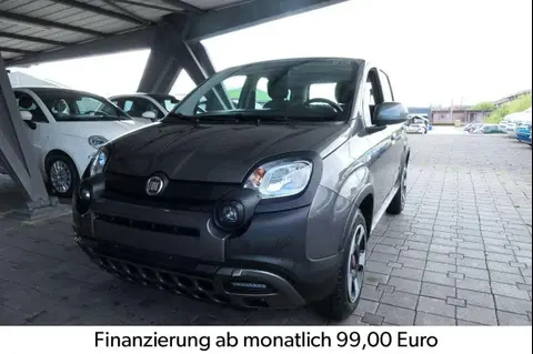 Used FIAT PANDA Petrol 2023 Ad 