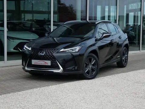 Used LEXUS UX Hybrid 2022 Ad Belgium