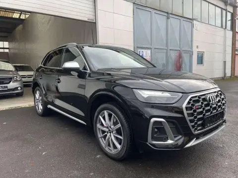 Used AUDI SQ5 Petrol 2022 Ad 