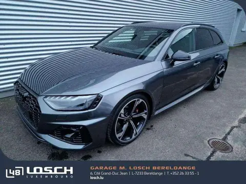 Used AUDI RS4 Petrol 2024 Ad 