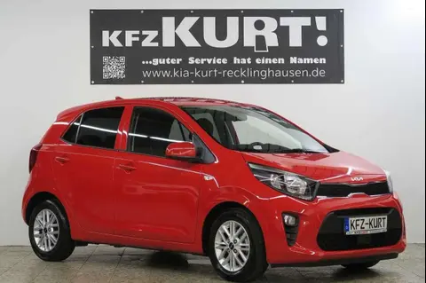 Used KIA PICANTO Petrol 2022 Ad 