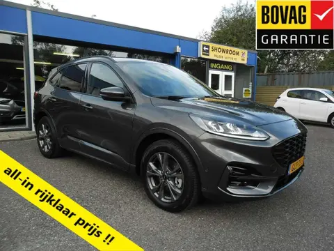 Used FORD KUGA Hybrid 2021 Ad 