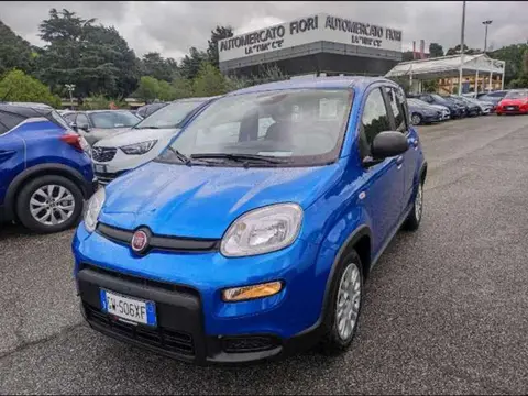 Annonce FIAT PANDA  2024 d'occasion 