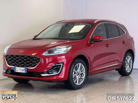 Used FORD KUGA Hybrid 2022 Ad 