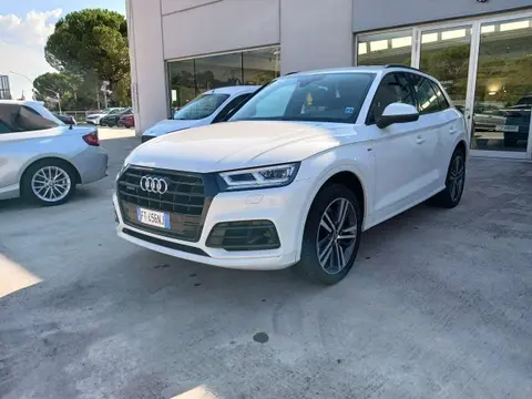 Used AUDI Q5 Diesel 2019 Ad 