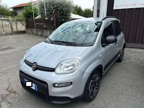 Used FIAT PANDA Hybrid 2021 Ad 