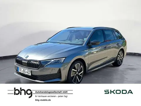 Annonce SKODA OCTAVIA Diesel 2024 d'occasion 