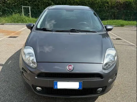 Annonce FIAT PUNTO Essence 2017 d'occasion 