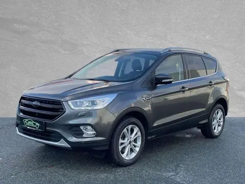 Used FORD KUGA Petrol 2019 Ad 