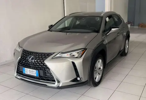 Annonce LEXUS UX Hybride 2021 d'occasion 