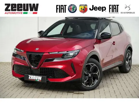 Annonce ALFA ROMEO JUNIOR Électrique 2024 d'occasion 