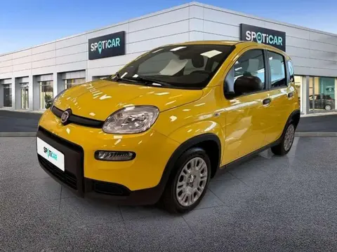 Used FIAT PANDA Petrol 2024 Ad 