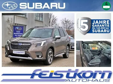 Used SUBARU FORESTER Petrol 2024 Ad 