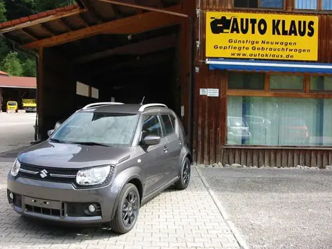 Annonce SUZUKI IGNIS Hybride 2024 d'occasion 