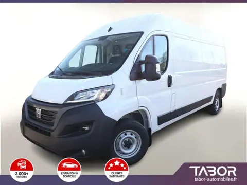 Used FIAT DUCATO Diesel 2024 Ad 