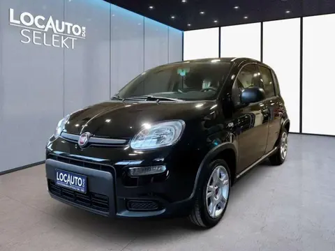 Used FIAT PANDA Hybrid 2024 Ad 