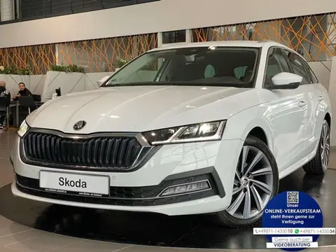 Used SKODA OCTAVIA Diesel 2020 Ad 