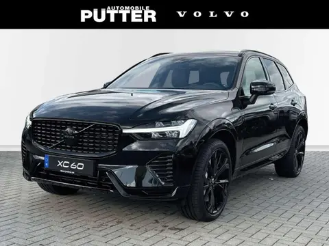 Used VOLVO XC60 Hybrid 2024 Ad 