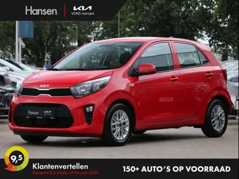 Annonce KIA PICANTO Essence 2022 d'occasion 