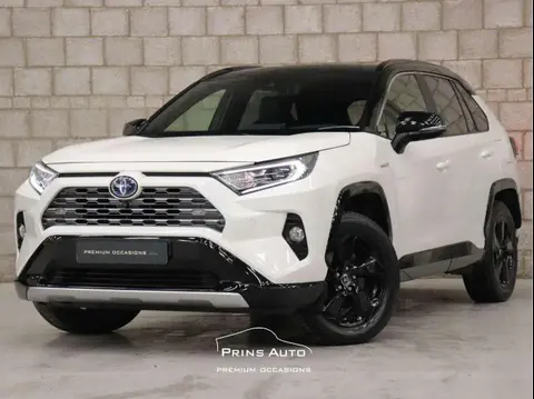 Used TOYOTA RAV4 Hybrid 2019 Ad 