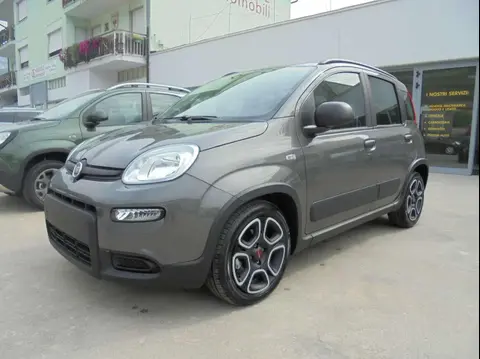 Used FIAT PANDA Hybrid 2022 Ad Italy