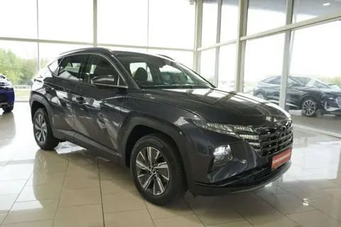 Used HYUNDAI TUCSON Hybrid 2023 Ad 